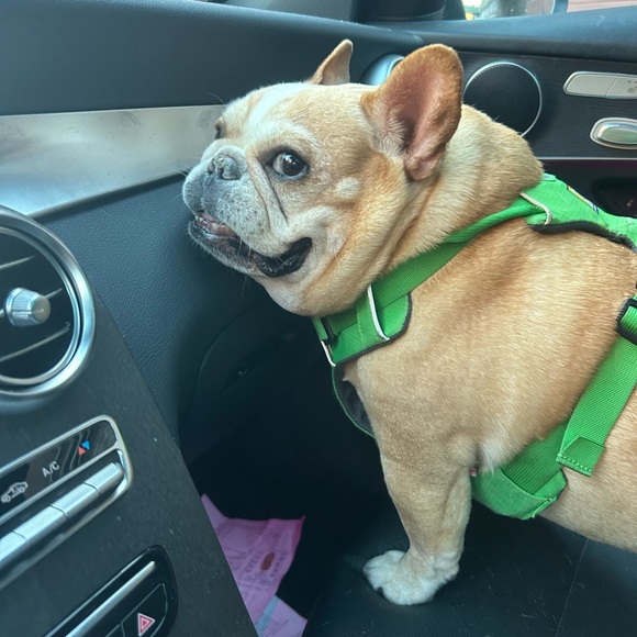 Meet your Posher, Dee - Picture 8 of 8